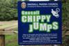Chippy Jumps