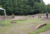 Chippy Jumps