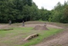 Chippy Jumps