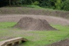 Chippy Jumps