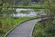 The Boardwalk